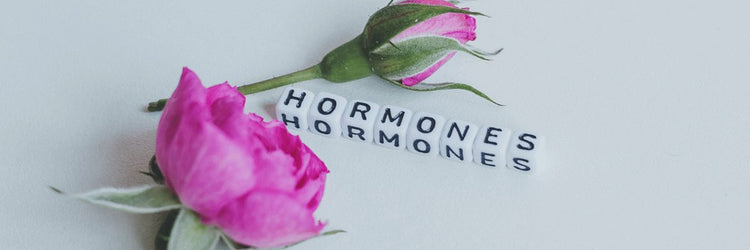 Essential Oils for Hormone Balance – Natural Support for Wellness