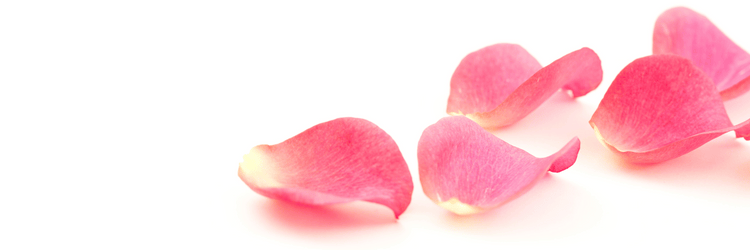 Rose Collection