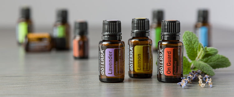 Essential Oil Bundles – Curated Packs for Health & Wellness