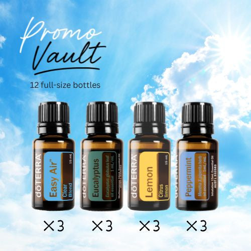 Breathe Clear Family Vault