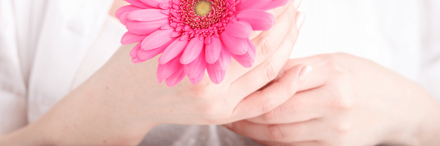 Person holding a pink flower with a blurred background