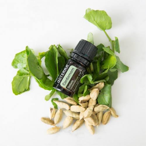 doTERRA Cardamom