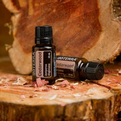 doTERRA Cedarwood