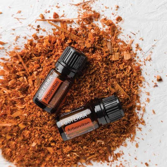 doTERRA Arborvitae