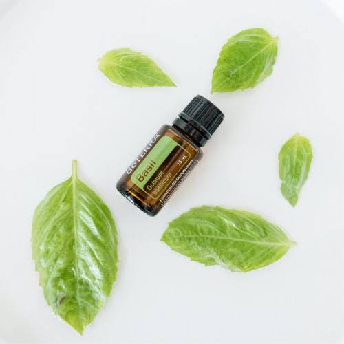 doTERRA Basil