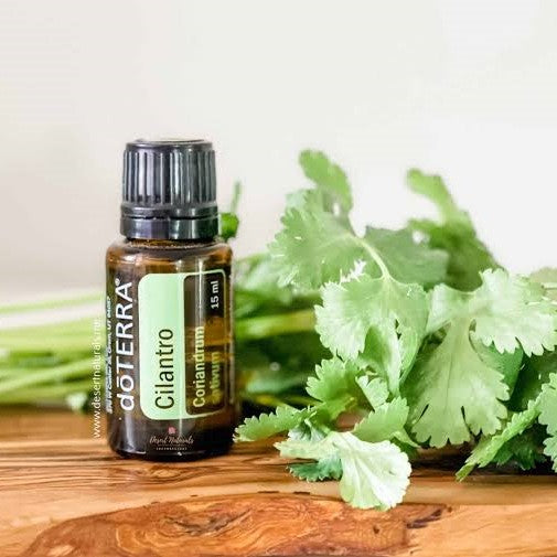 doTERRA Cilantro
