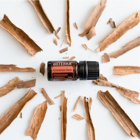 doTERRA Cinnamon Bark