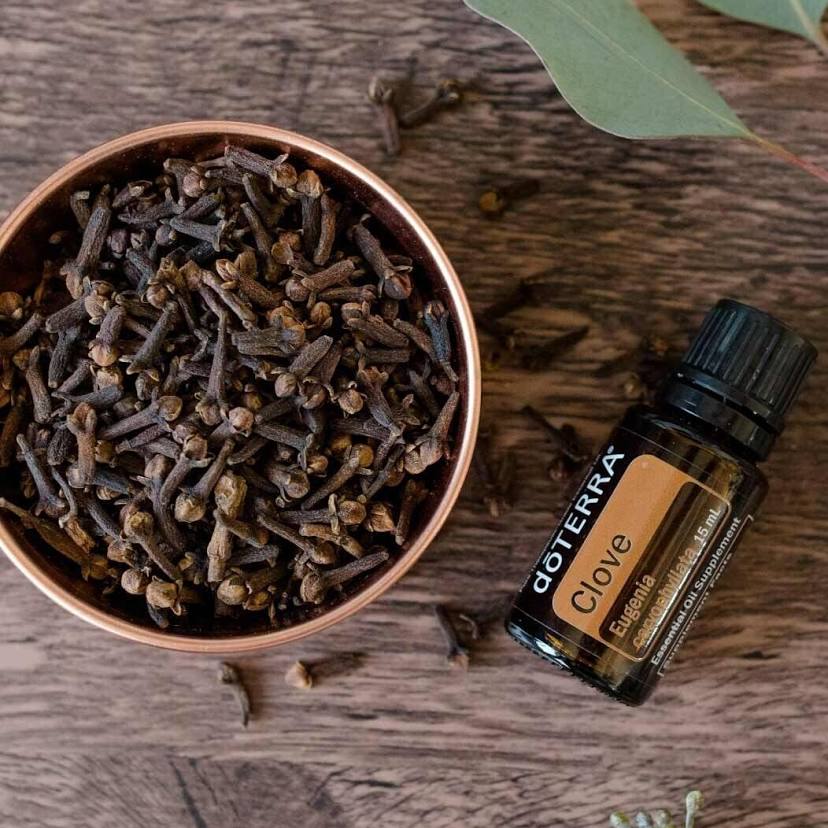 doTERRA Clove