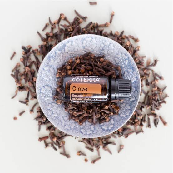 doTERRA Clove