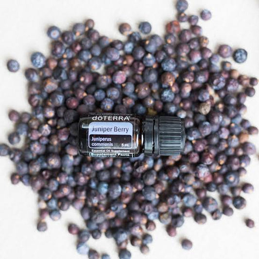doTERRA Juniper Berry