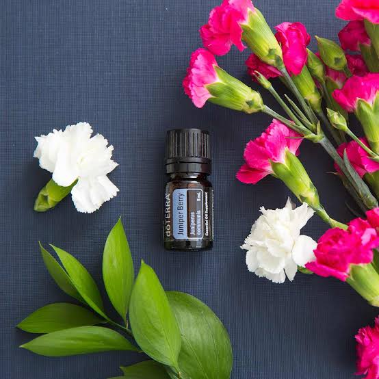 doTERRA Juniper Berry