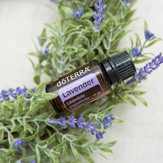 doTERRA Lavender