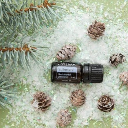 doTERRA Spikenard - LAST REMAINING STOCK