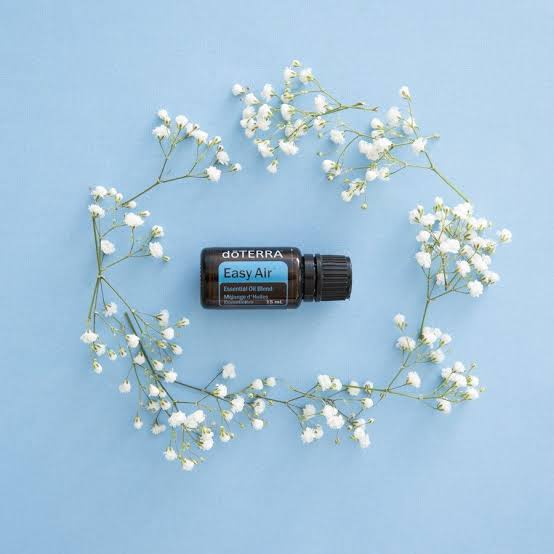 doTERRA Easy Air
