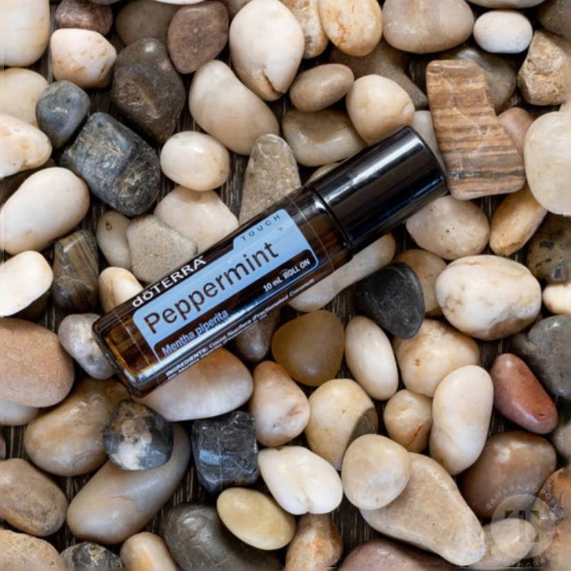 doTERRA Peppermint Touch®