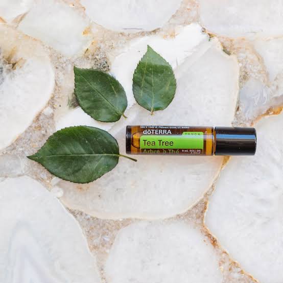 doTERRA Tea Tree Touch®