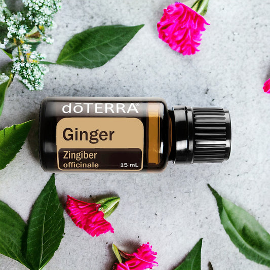 doTERRA Ginger