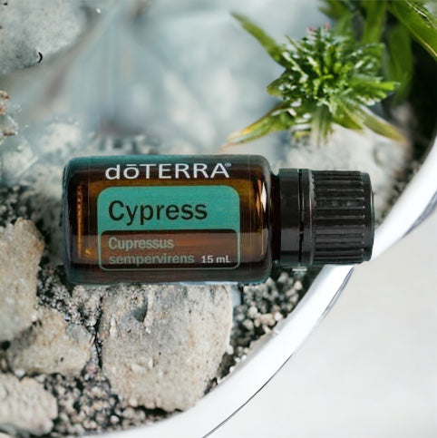 Cypress