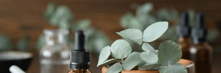 Bottle with dropper and eucalyptus leaves on a wooden surface
