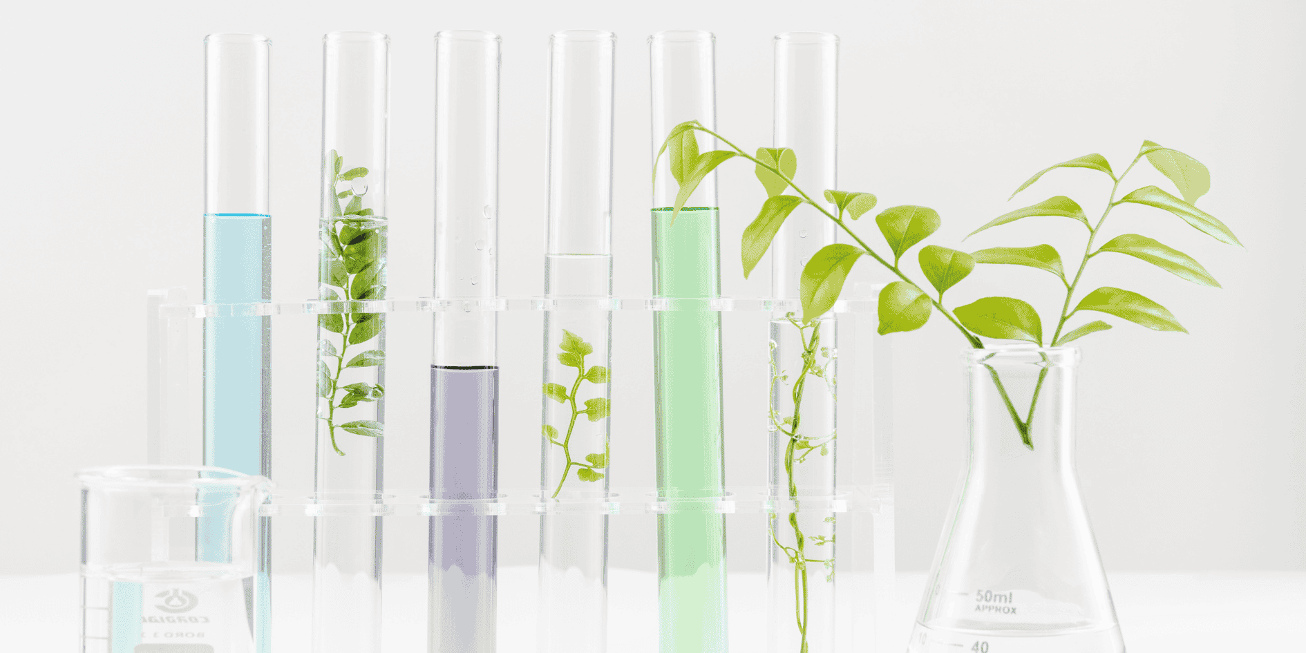 Line of test tubes with plants emerging – Symbolizing the fusion of science and nature in aroma frequency