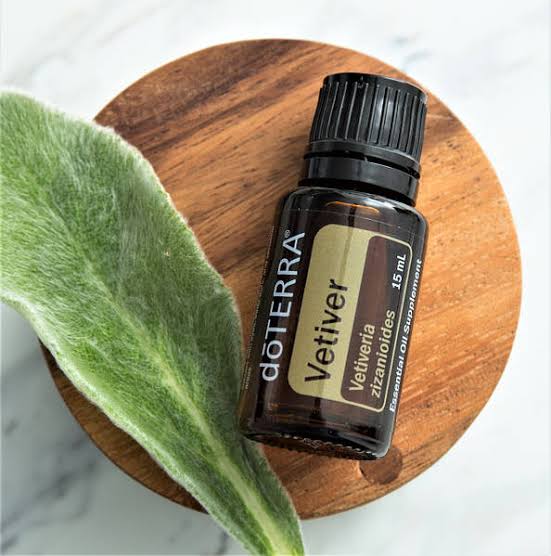 doTERRA Vetiver essential oil bottle on a wooden coaster with a green leaf.