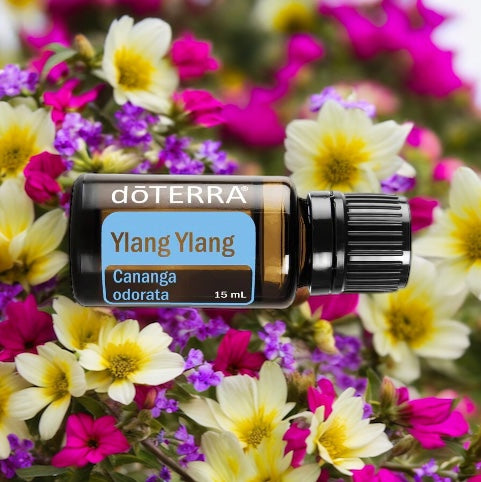 doTERRA Ylang Ylang essential oil bottle surrounded by colorful flowers
