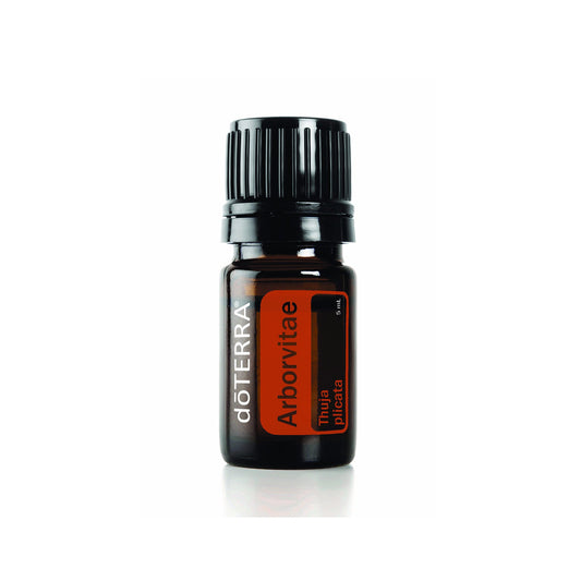doTERRA Arborvitae