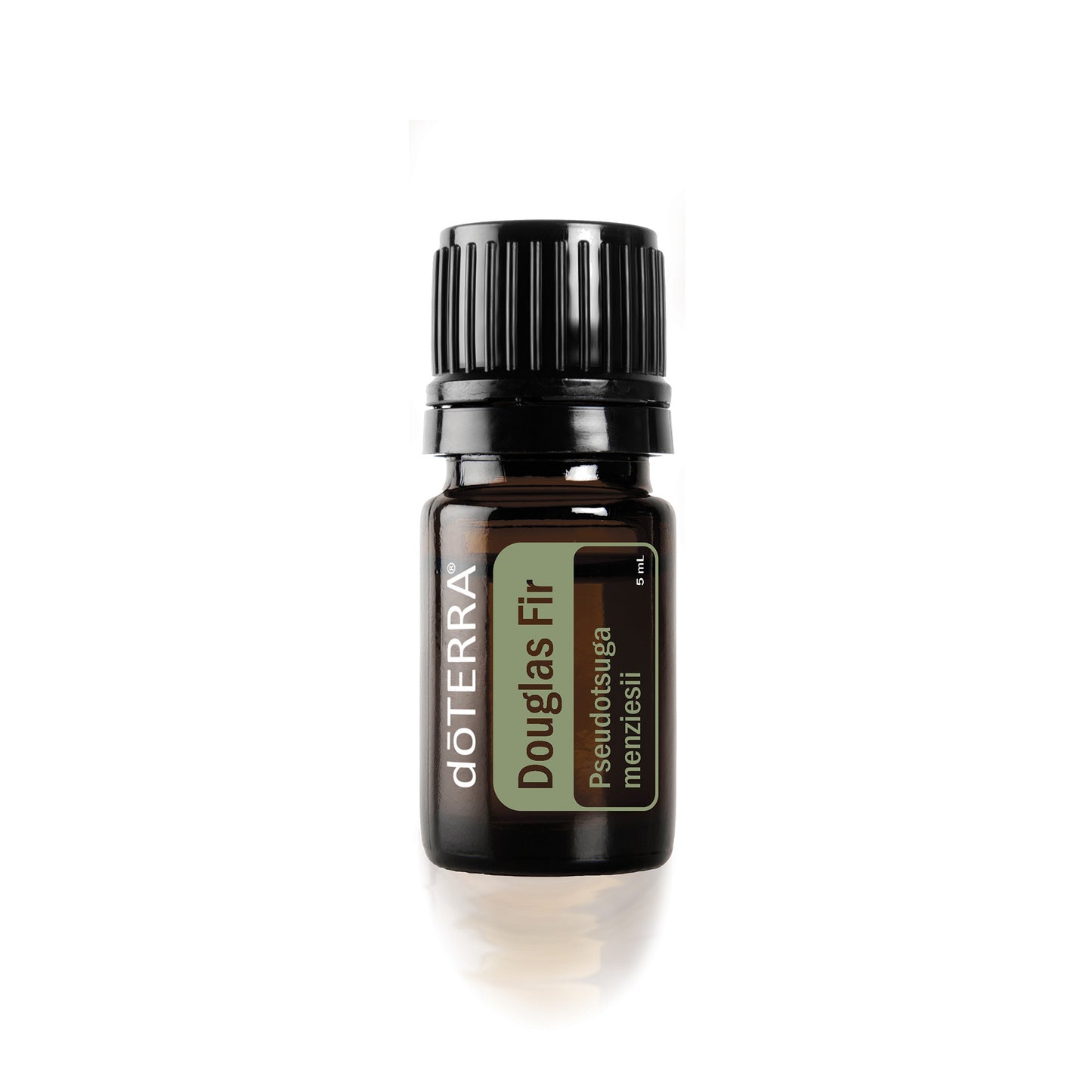 doTERRA Douglas  Fir