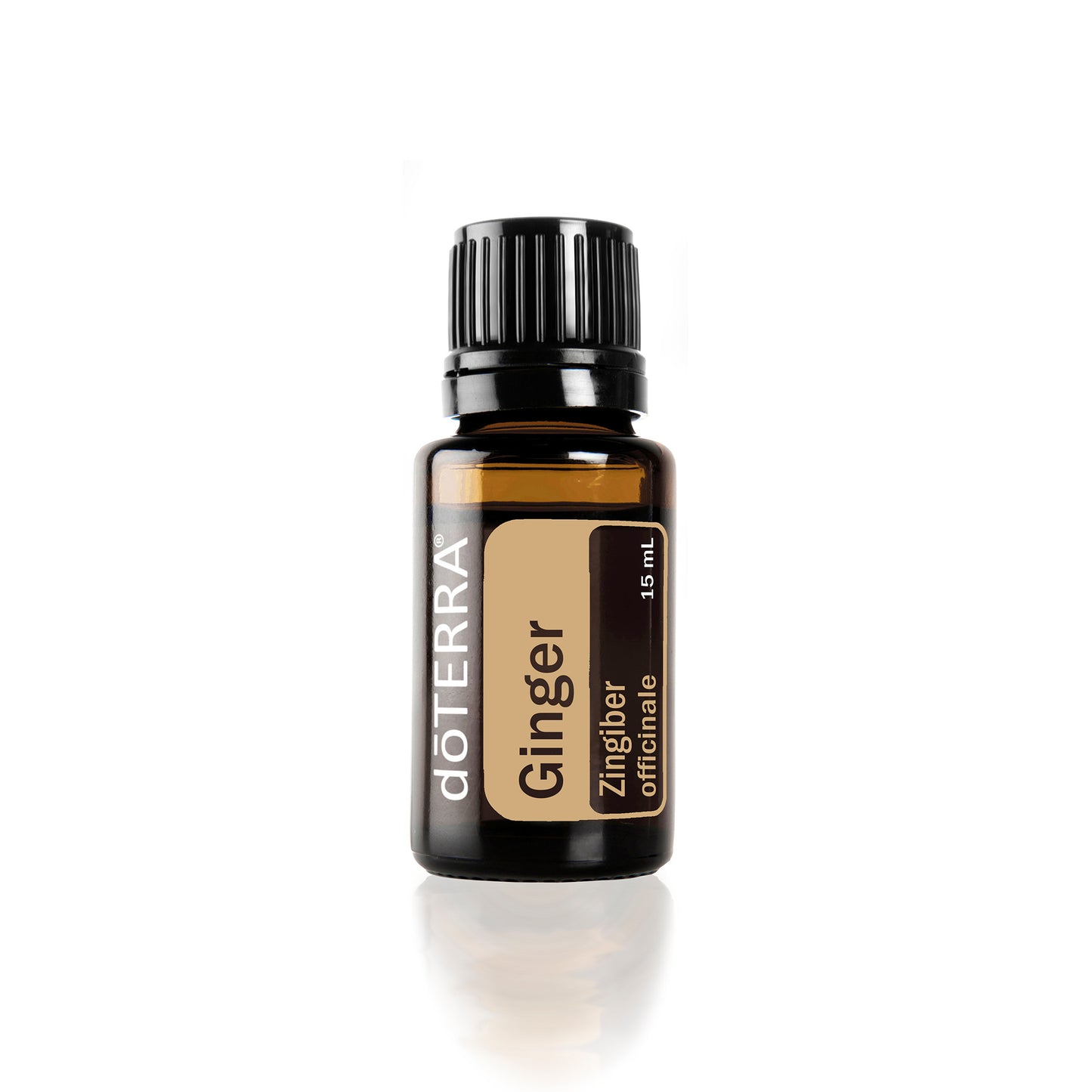 doTERRA Ginger