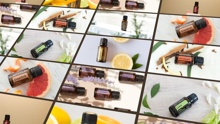 Essential Choices Collection