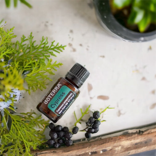 doTERRA Cypress