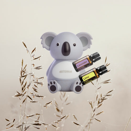 Koala Diffuser Bundle