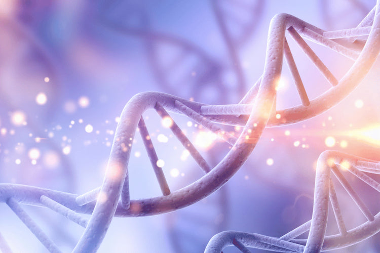 DNA double helix against a soft, blurred background with light effects