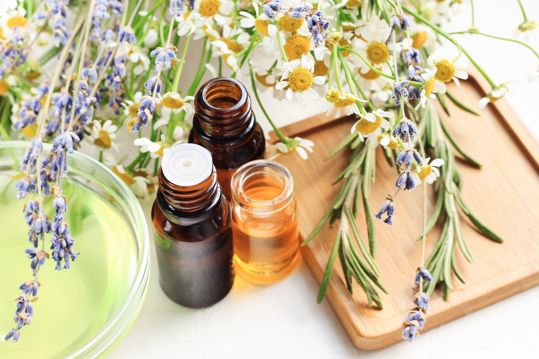 doTERRA essential oil bottles surrounded by nature – Natural wellness and holistic healing