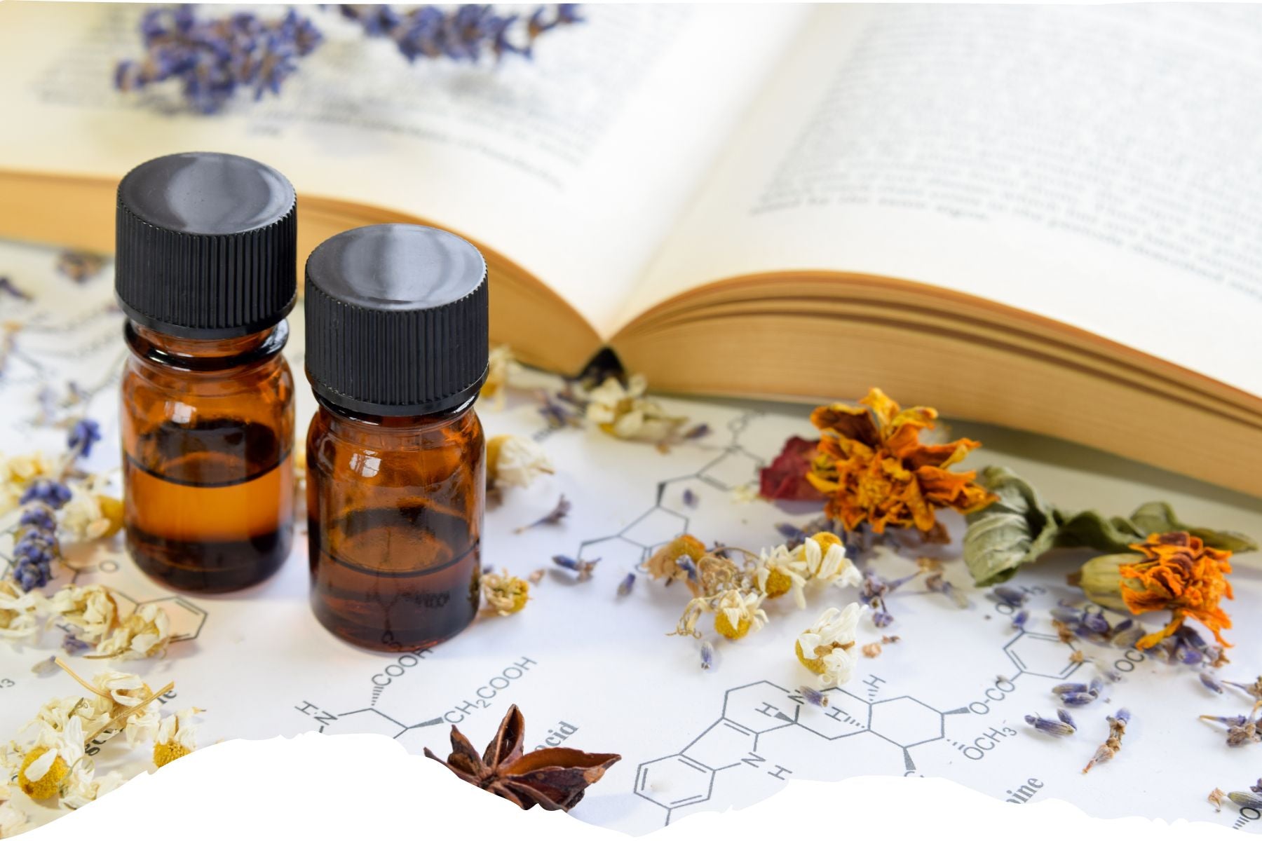 Essential oils next to an open book with flower petals scattered – Natural wellness rituals for anxiety relief.