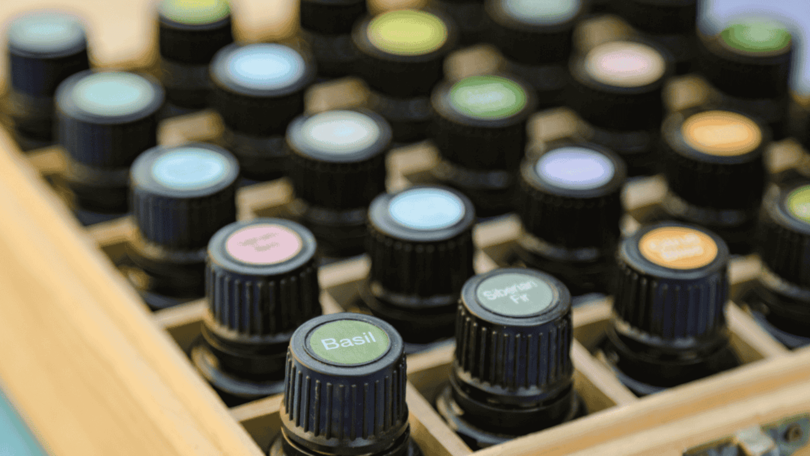 Close-up of doTERRA essential oil bottles with colorful caps on a wooden rack.