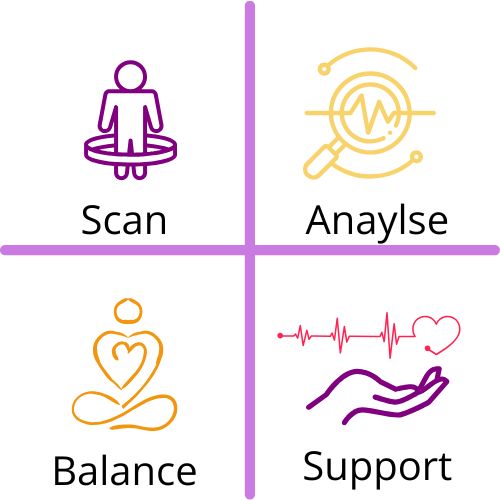 Four icons with labels 'Scan', 'Anaylse', 'Balance', and 'Support' on a white background.